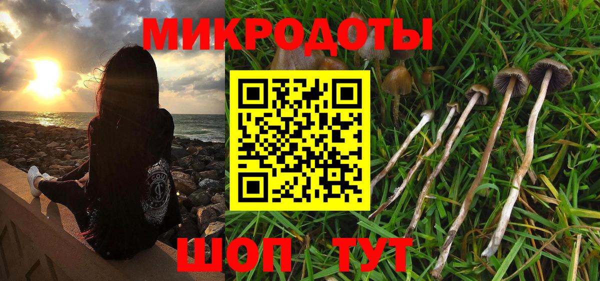 Псилоцибиновые грибы Cubensis Верхняя Салда
